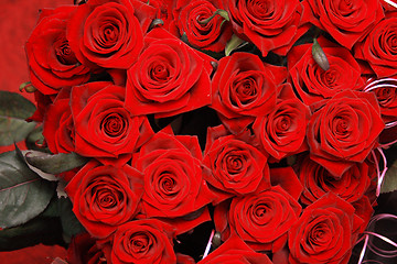 Image showing roses