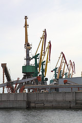 Image showing Cranes