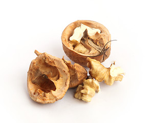 Image showing walnut