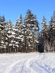 Image showing Winter scene