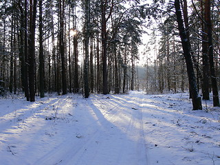 Image showing Winter scene