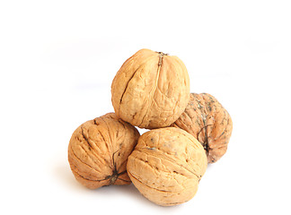 Image showing walnut