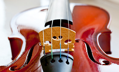 Image showing Violin