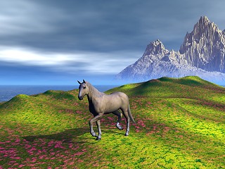 Image showing Fantasy Meadow