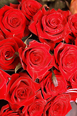 Image showing roses