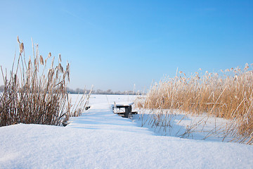 Image showing Winter lake