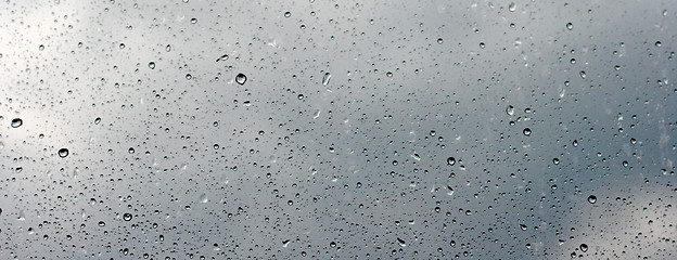 Image showing rain drops