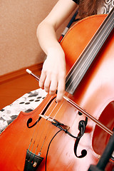 Image showing  cello