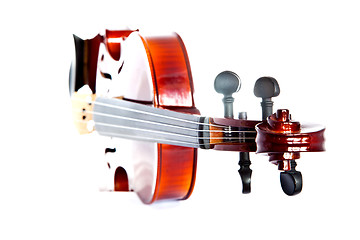 Image showing Violin