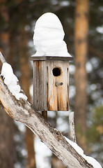 Image showing Birdhouses