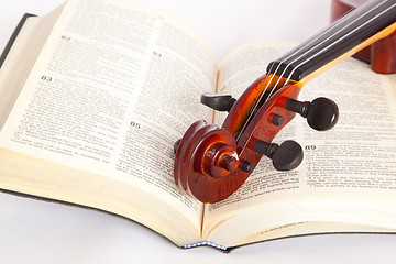 Image showing violin