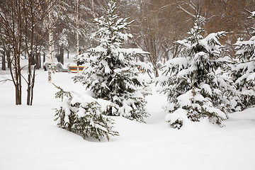 Image showing After snowstorm.