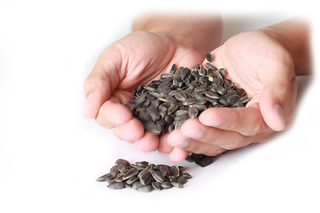 Image showing Sunflower Seeds 