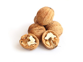 Image showing walnut