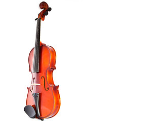 Image showing Violin