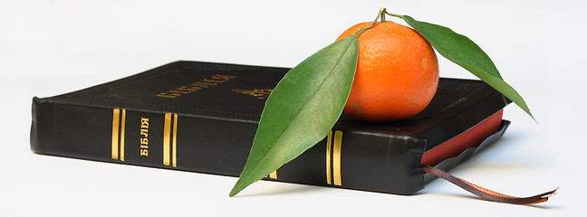 Image showing  Bible