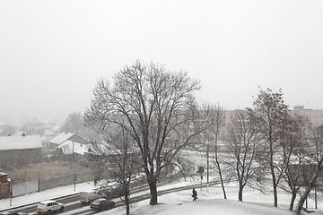 Image showing snowfall