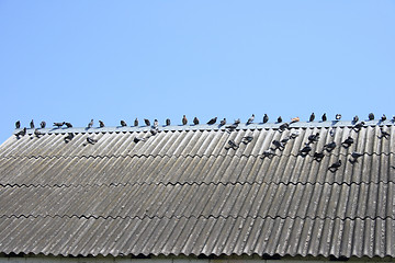 Image showing roof