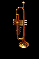 Image showing trumpet