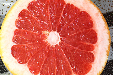 Image showing grapefruit