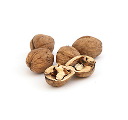 Image showing Walnut