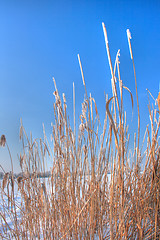 Image showing Winter landscape