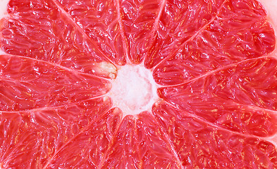 Image showing  grapefruit