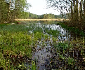 Image showing Small Lake