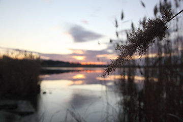 Image showing Lake