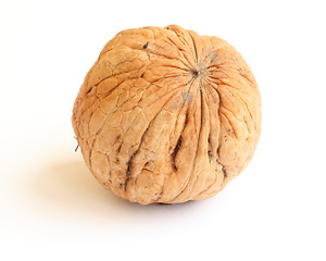 Image showing walnut