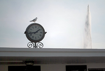 Image showing Seagulls at Geneva Lake