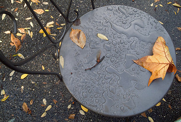 Image showing When the leaves are falling down