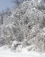 Image showing Winter landscape