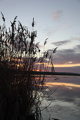 Image showing Lake