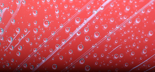 Image showing water drops 