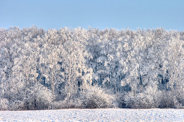 Image showing Winter landscape