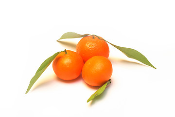 Image showing tangerines