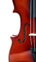 Image showing Violin