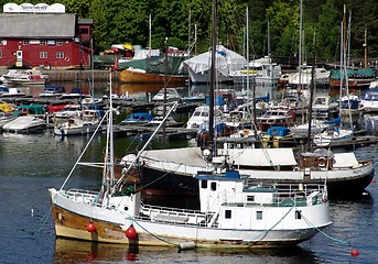 Image showing Marina