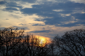 Image showing  sunset