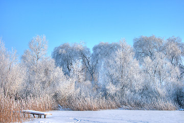 Image showing Winter lake