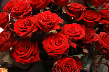 Image showing roses