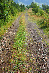 Image showing Carpathians