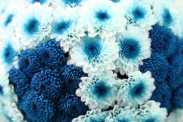 Image showing blue flowers 