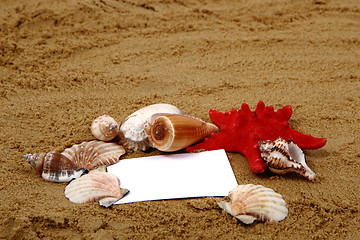 Image showing sand, shells and white paper 