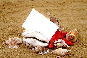 Image showing white paper in the sand and shells