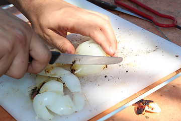 Image showing Slicing Onions 