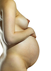 Image showing pregnant body