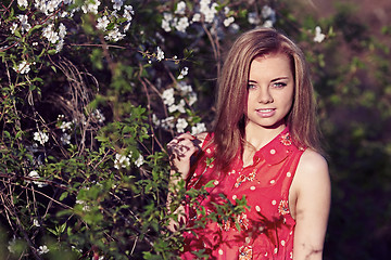 Image showing Girl in the flowers of cherry