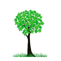 Image showing green tree